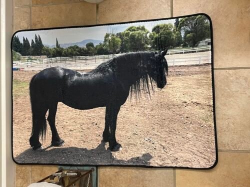 Kitchen floor mat photo review